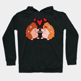 Valentine's Day Hoodie